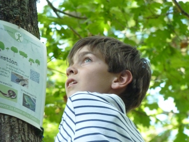 Orienteering and knowledge of nature 